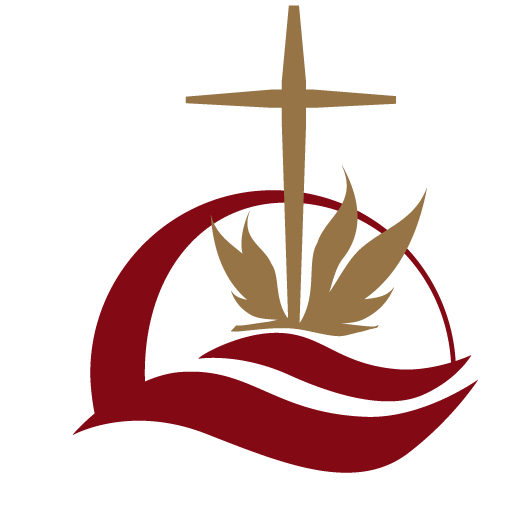 The Nurses Ministry